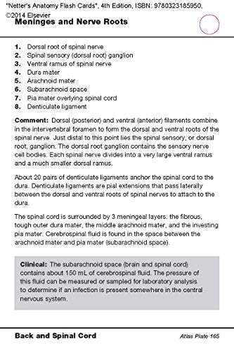 Netter's Anatomy Flash Cards: with Online Student Consult Access (Netter Basic Science)