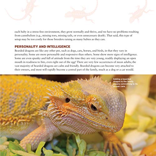 The Bearded Dragon Manual, 2nd Edition: Expert Advice for Keeping and Caring for a Healthy Bearded Dragon (CompanionHouse Books) Habitat, Heat, Diet, Behavior, Personality, Illness, FAQs, & More