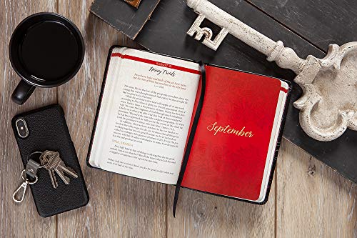 Jesus in Red: 365 Meditations on the Words of Jesus (Imitation Leather) – Daily Motivational Devotions for All Ages, Authored by Ray Comfort, Perfect ... Family, Birthdays, Holidays, and More.