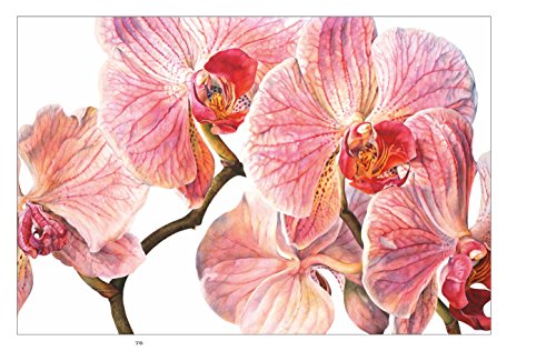 Rosie Sanders' Flowers: A Celebration Of Botanical Art