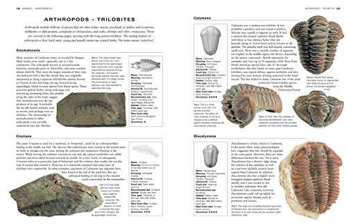 The Illustrated Guide to Fossils & Fossil Collecting: A Reference Guide to Over 375 Plant and Animal Fossils from Around the Globe and How to Identify Them, with Over 950 Photographs and Artworks