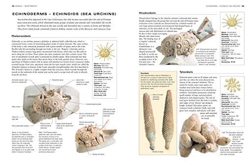 The Illustrated Guide to Fossils & Fossil Collecting: A Reference Guide to Over 375 Plant and Animal Fossils from Around the Globe and How to Identify Them, with Over 950 Photographs and Artworks