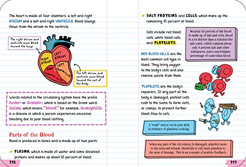 Workman Publishing Company - To Ace Biology in One Big Fat Notebook