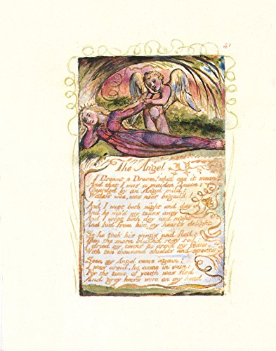 Blake's Songs of Innocence and Experience (Cover may vary)