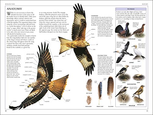 RSPB Birds of Britain and Europe: The Definitive Photographic Field Guide