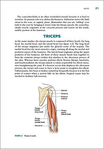 Cycling Anatomy