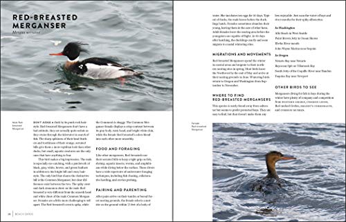 Must-See Birds of the Pacific Northwest: 85 Unforgettable Species, Their Fascinating Lives, and How to Find Them