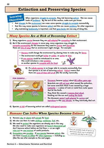 KS3 Biology Study & Question Bk & Online