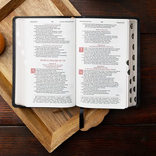 KJV, Personal Size Reference Bible, Sovereign Collection, Leathersoft, Purple, Red Letter, Thumb Indexed, Comfort Print: Holy Bible, King James Version