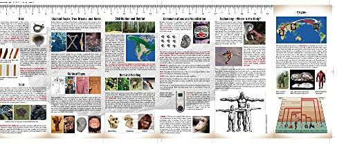 Sasquatch Field Guide