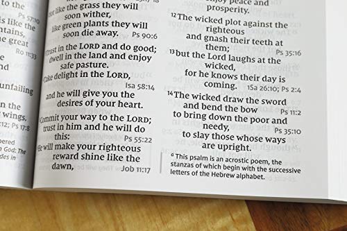 NIV, Reference Bible, Giant Print, Paperback, Red Letter, Comfort Print