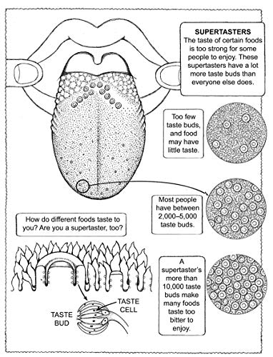 My First Book About the Five Senses (Dover Science For Kids Coloring Books)