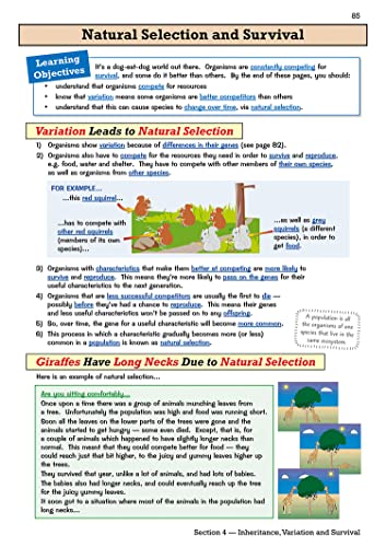 KS3 Biology Study & Question Bk & Online