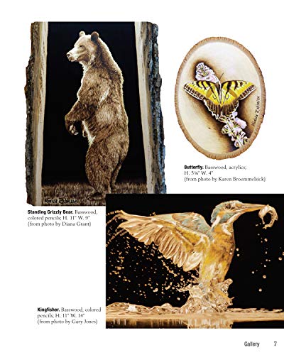 Woodburning Realistic Animals: 12 Step-by-Step Pyrography Projects of Birds, Pets, and Wildlife (Fox Chapel Publishing) Tutorials for Eyes, Fur, Manes, & Whiskers; Projects for Big Cats, Owls, & More