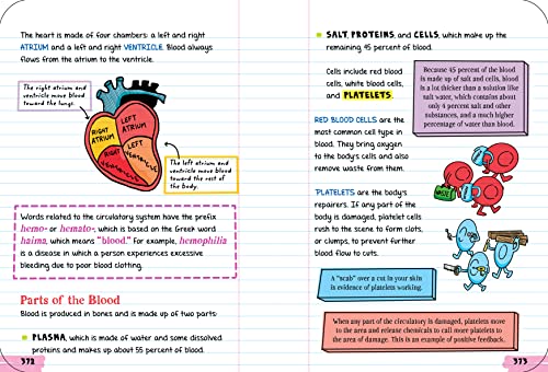 Workman Publishing Company - To Ace Biology in One Big Fat Notebook