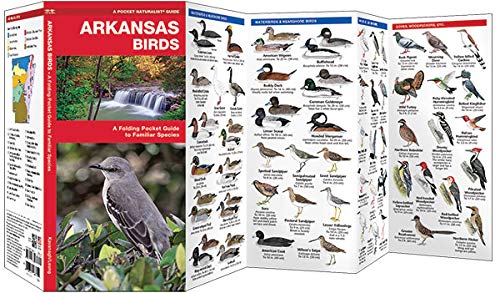 Arkansas Birds: A Folding Pocket Guide to Familiar Species (Wildlife and Nature Identification)