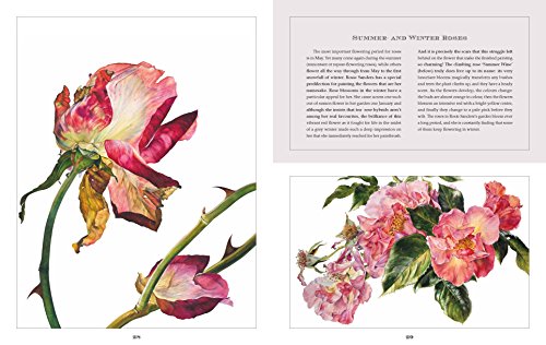 Rosie Sanders' Flowers: A Celebration Of Botanical Art