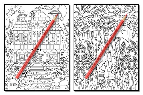 Haunted House: An Adult Coloring Book with Scary Monsters, Creepy Scenes, and a Spooky Adventure