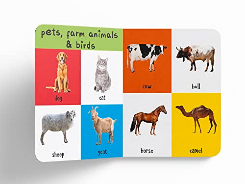 My First 4 In 1 One Wild Animals, Pet and Farm Animals, Birds, Sea Animals: Padded Board Books