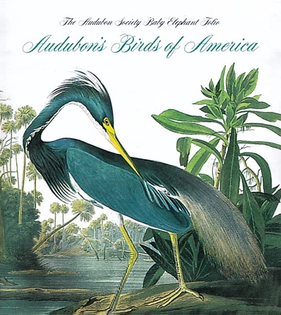 Audubon's Birds Of America (Tiny Folio)