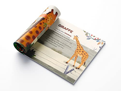 Zoo: Illustrated Book On Zoo Animals