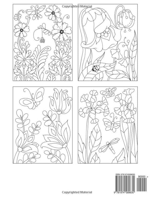 Easy Adult Coloring Book: Large Print Designs