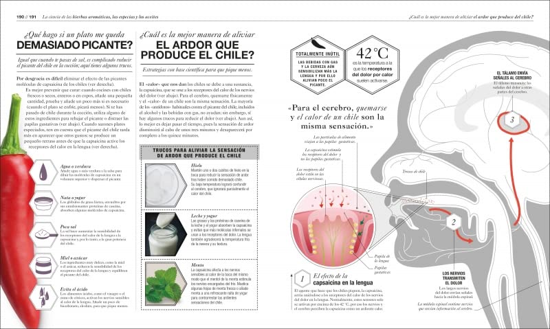 Cocinología: La ciencia de cocinar