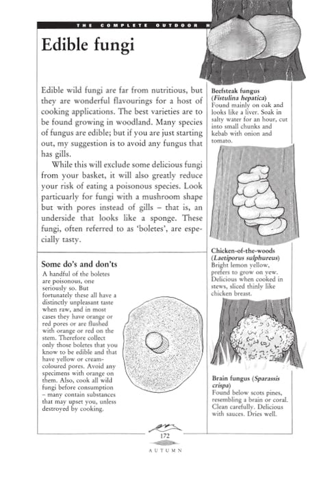 Ray Mears Outdoor Survival Handbook: A Guide to the Materials in the Wild and How To Use them for Food, Warmth, Shelter and Navigation