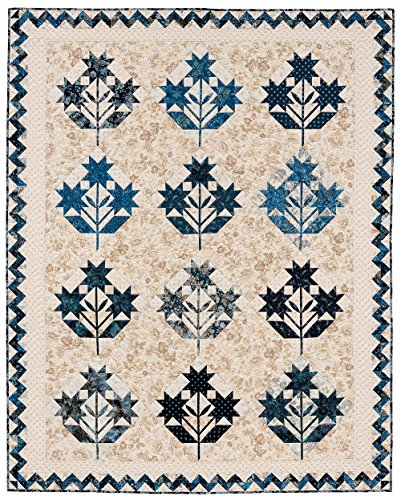 Patches of Blue: 17 Quilt Patterns and a Gallery of Inspiring Antique Quilts