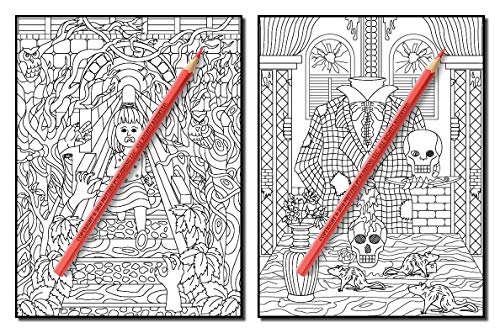 Haunted House: An Adult Coloring Book with Scary Monsters, Creepy Scenes, and a Spooky Adventure