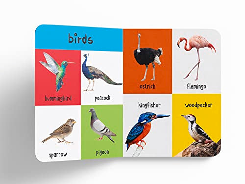 My First 4 In 1 One Wild Animals, Pet and Farm Animals, Birds, Sea Animals: Padded Board Books