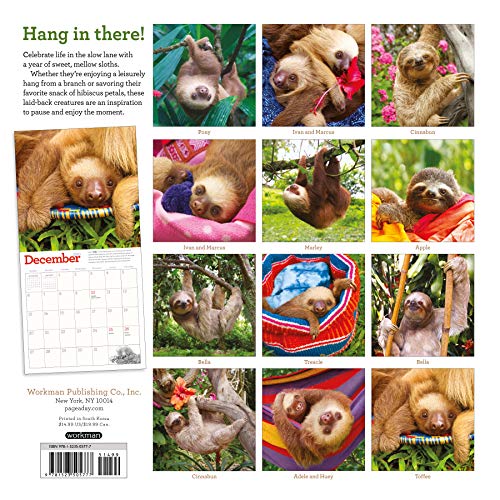 Original Sloths Wall Calendar 2020