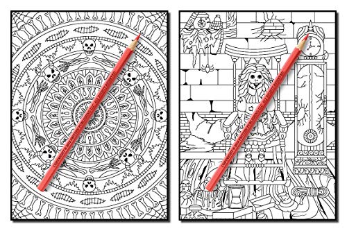 Haunted House: An Adult Coloring Book with Scary Monsters, Creepy Scenes, and a Spooky Adventure