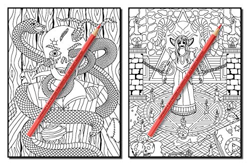 Haunted House: An Adult Coloring Book with Scary Monsters, Creepy Scenes, and a Spooky Adventure