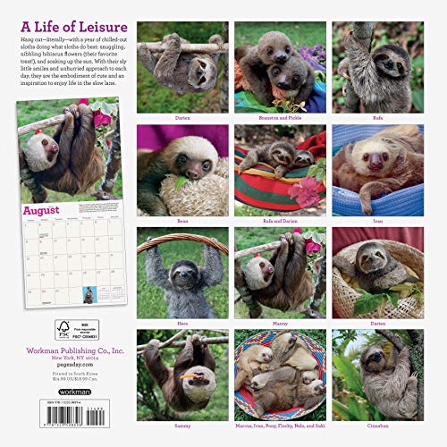 Original Sloths Wall Calendar 2021