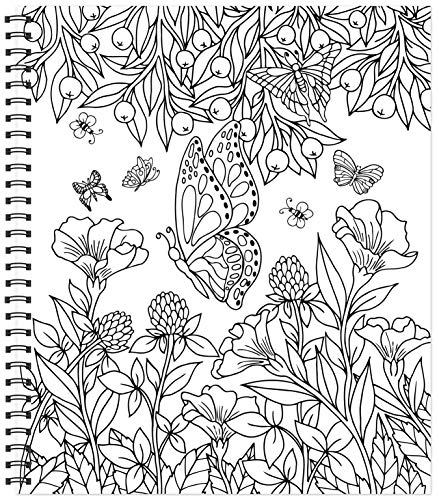 Color & Frame - Country Gardens (Adult Coloring Book)