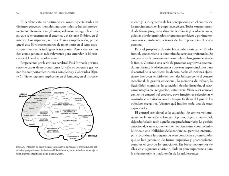 El cerebro del adolescente: Descubre cómo funciona para entenderlos y acompañarl os / The Teenage Brain: Explore Its Workings to Understand and Support Them (Spanish Edition)