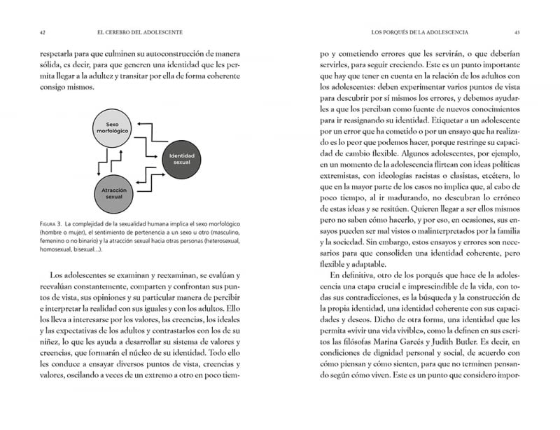 El cerebro del adolescente: Descubre cómo funciona para entenderlos y acompañarl os / The Teenage Brain: Explore Its Workings to Understand and Support Them (Spanish Edition)