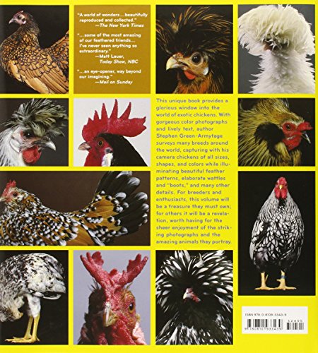 Extraordinary Chickens