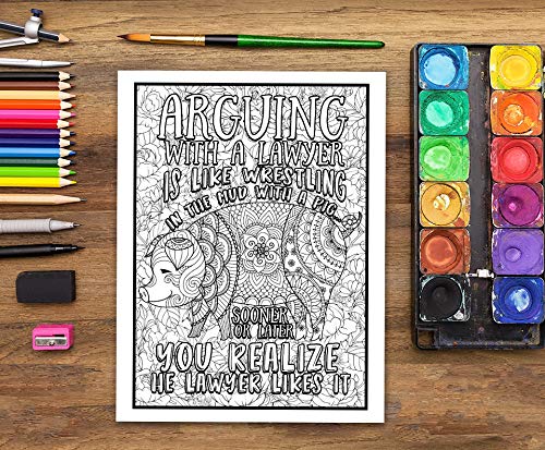 Lawyer Life: An Adult Coloring Book for Lawyers & Law Students