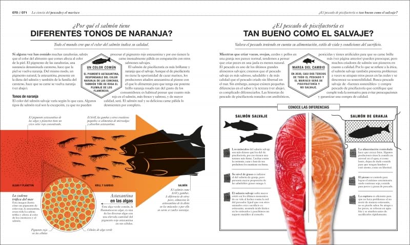 Cocinología: La ciencia de cocinar