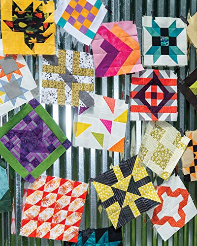 Quilt Block Genius, Expanded Second Edition: Over 300 Pieced Quilt Blocks to Make 1001 Blocks with No Math Charts (Landauer) Mini Quilts, Settings, Sampler Patterns, & Tips to Create Your Own Block