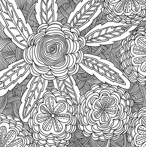 Serenity Adult Coloring Book (31 stress-relieving designs) (Studio Series Artist's Coloring Book)