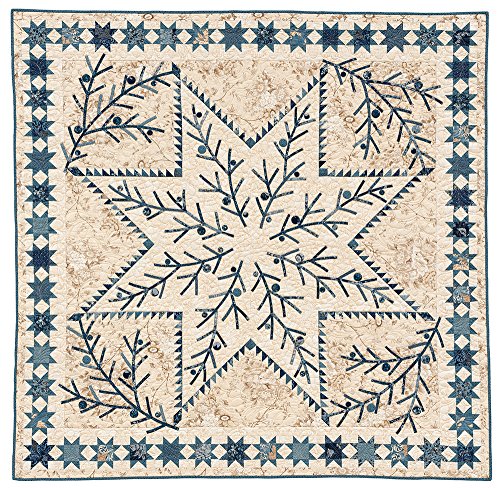 Patches of Blue: 17 Quilt Patterns and a Gallery of Inspiring Antique Quilts